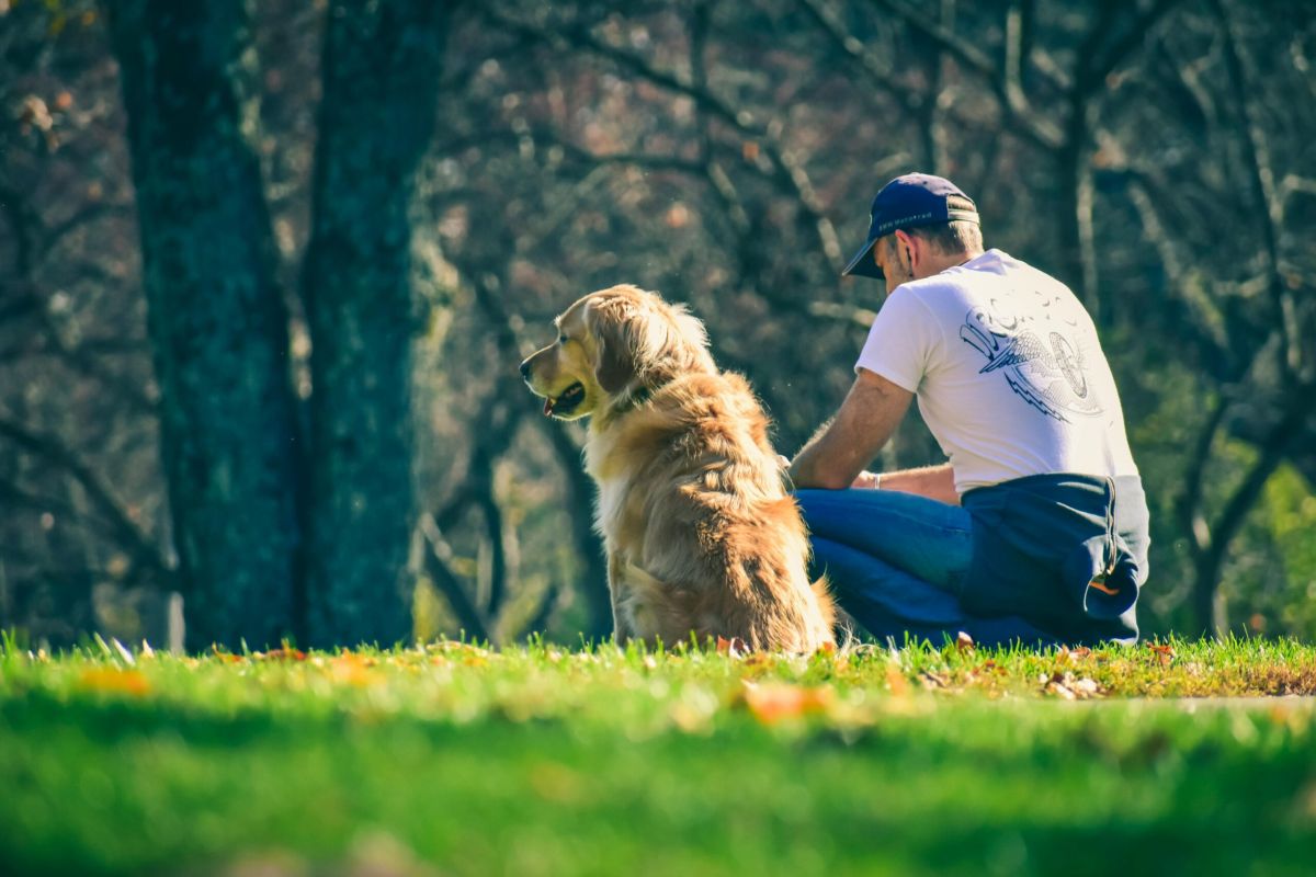 Cane e persona: due specie diverse che condividono la vita