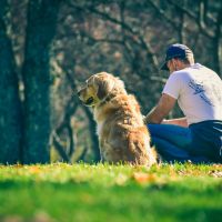 Cane e persona: due specie diverse che condividono la vita