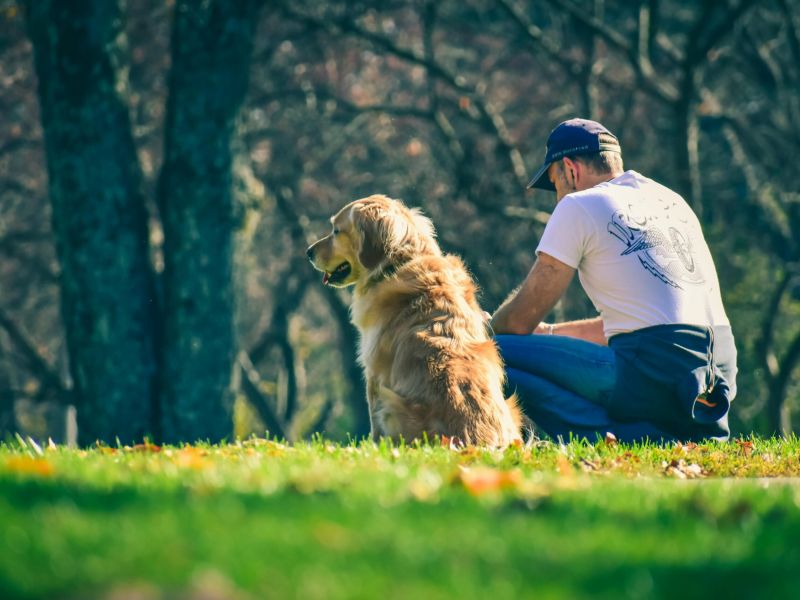 Cane e persona: due specie diverse che condividono la vita