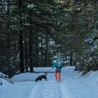 Perché fare attività nella natura con il tuo cane (non è solo una passeggiata)